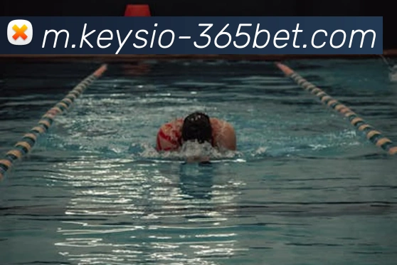 365bet平台生态图